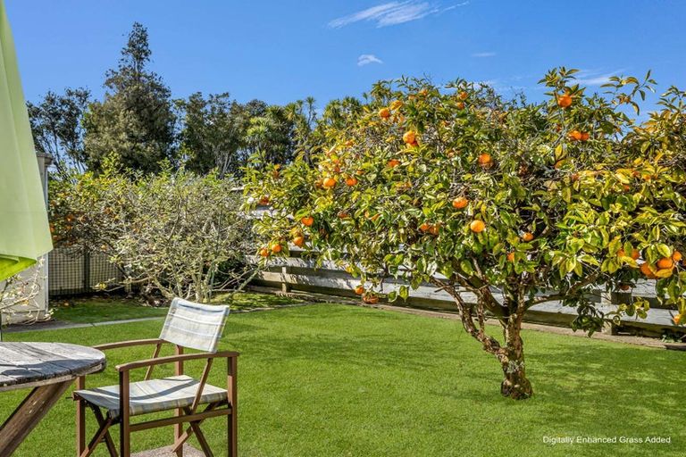 Photo of property in 171b King Street, Whakatane, 3120