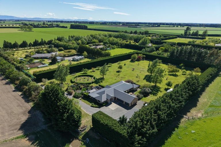 Photo of property in 41 Bridge Road, Greendale, Christchurch, 7671