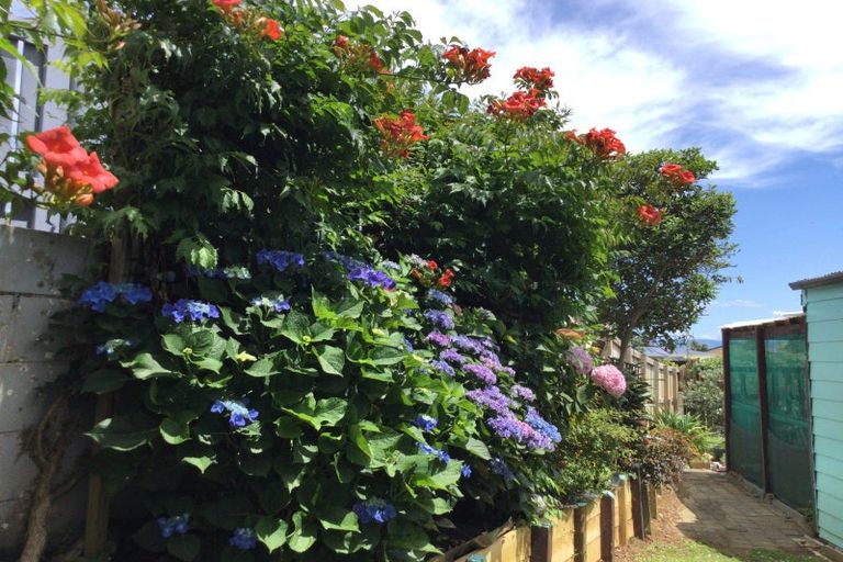 Photo of property in 104 Hays Place, Thames, 3500