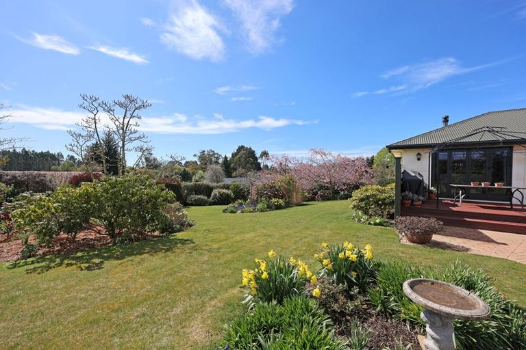 Photo of property in 331 Homestead Road, Weston, Oamaru, 9491