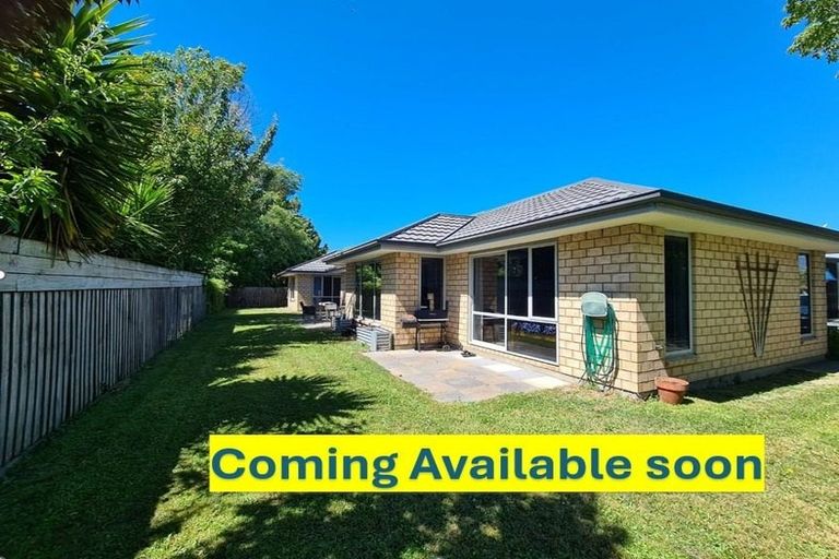 Photo of property in 314a Lyttelton Street, Spreydon, Christchurch, 8024