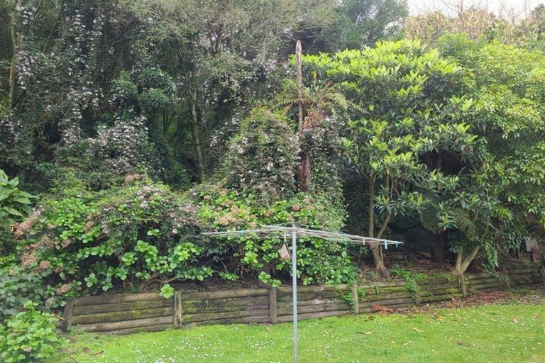 Photo of property in 20 Opoia Road, Hamilton East, Hamilton, 3216