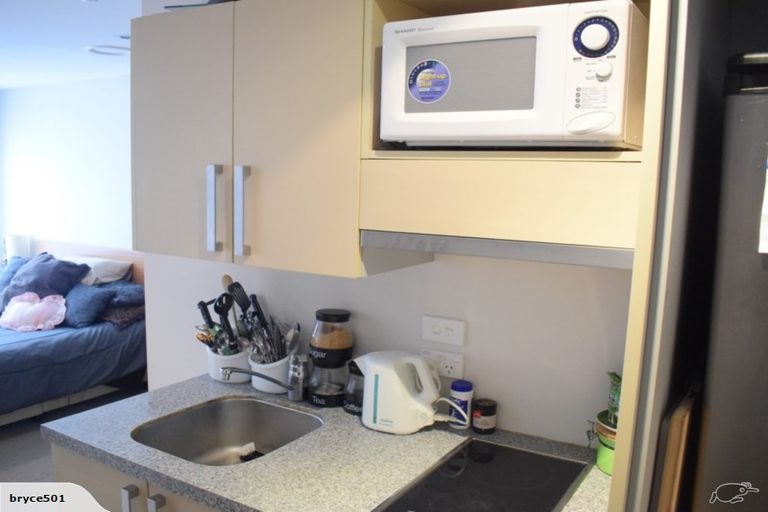Photo of property in Dual Apartments, 108/142u Vivian Street, Te Aro, Wellington, 6011
