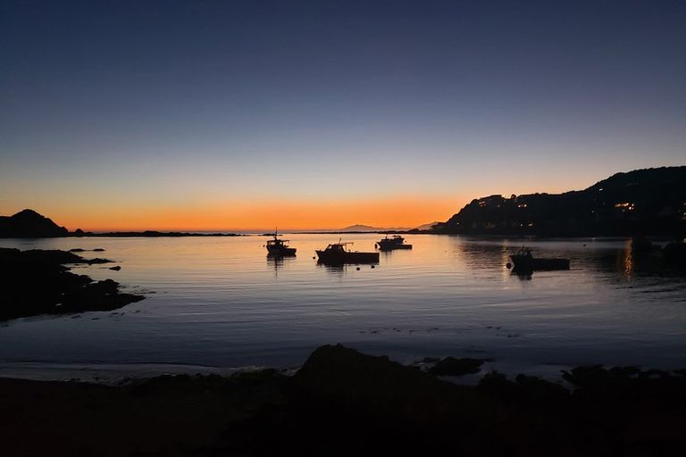 Photo of property in 20u9 Trent Street, Island Bay, Wellington, 6023