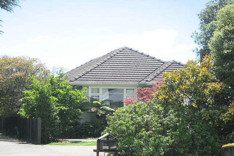 Photo of property in 51 Grange Street, Hillsborough, Christchurch, 8022