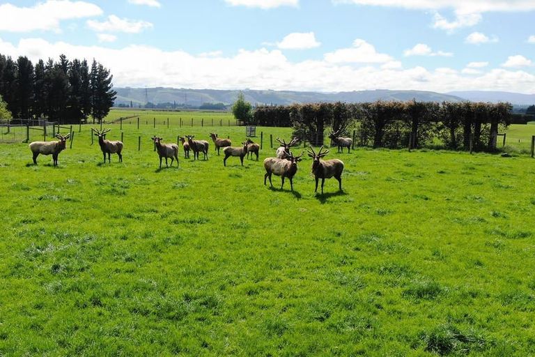 Photo of property in 68 Currie Road, Woodside, Outram, 9073