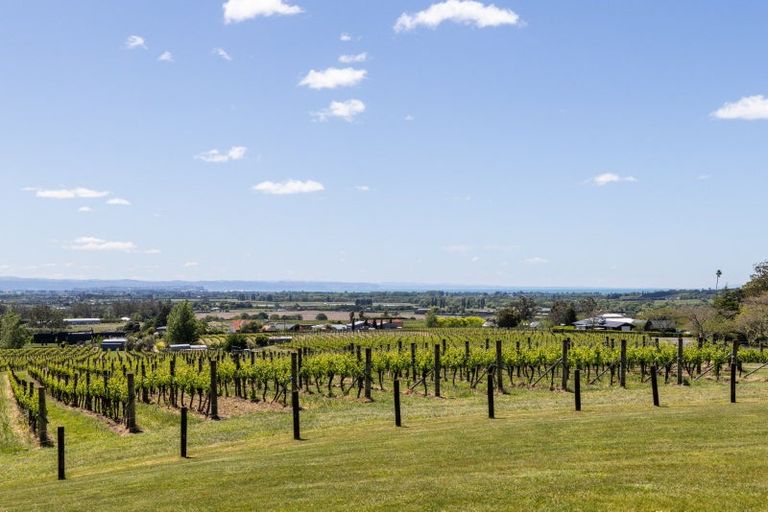 Photo of property in 306 Te Mata Road, Havelock North, 4294