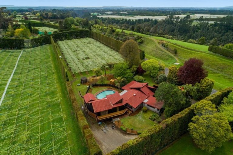 Photo of property in 706 No 1 Road, Te Puke, 3182