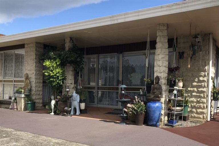 Photo of property in 117 Guy Street, Dannevirke, 4930