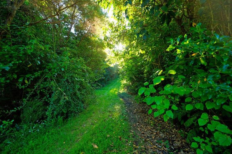 Photo of property in Mount Fyffe Road, Kaikoura Flat, Kaikoura, 7371