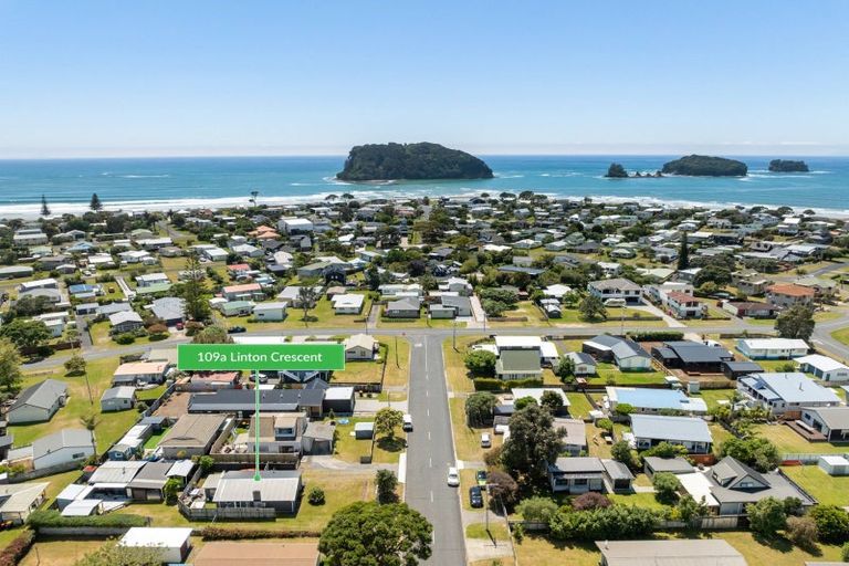 Photo of property in 109a Linton Crescent, Whangamata, 3620