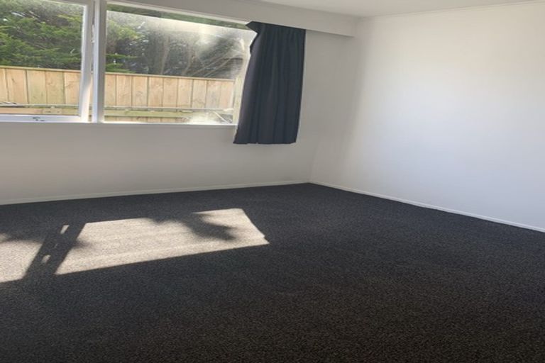 Photo of property in 78 Mcalpine Avenue, Mount Cook, Wellington, 6011