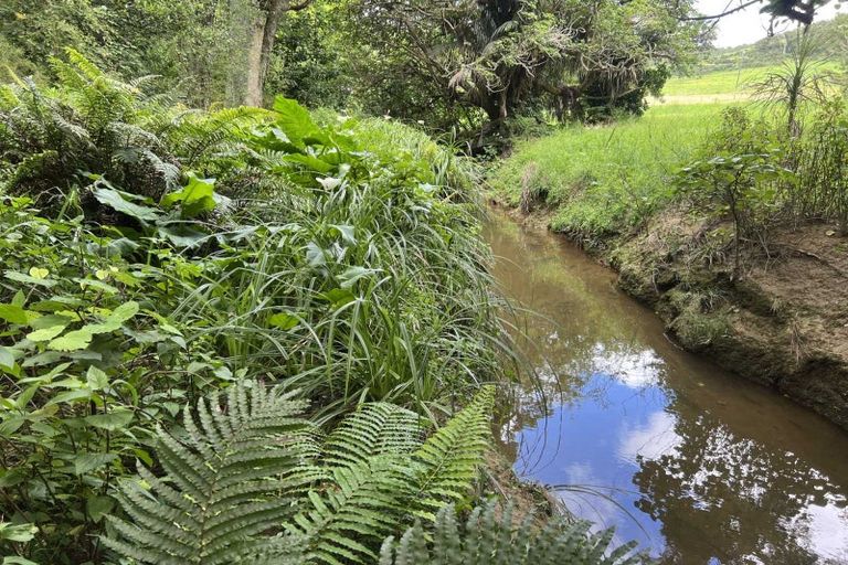 Photo of property in 568 Brown Road, Mangawhai, Kaiwaka, 0573