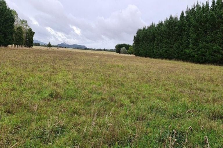 Photo of property in 131 Arapaepae Road South, Levin, 5571
