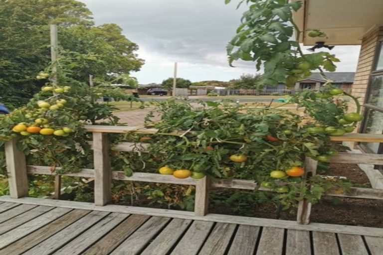 Photo of property in 5a Oroua Street, Te Puke, 3119