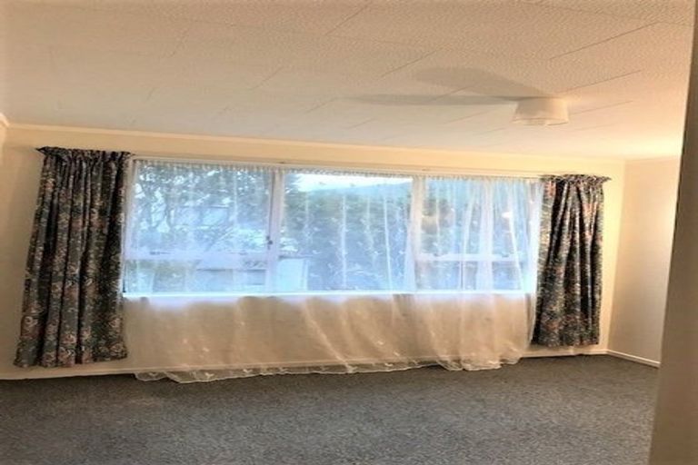 Photo of property in 230a Mitchell Street, Brooklyn, Wellington, 6021