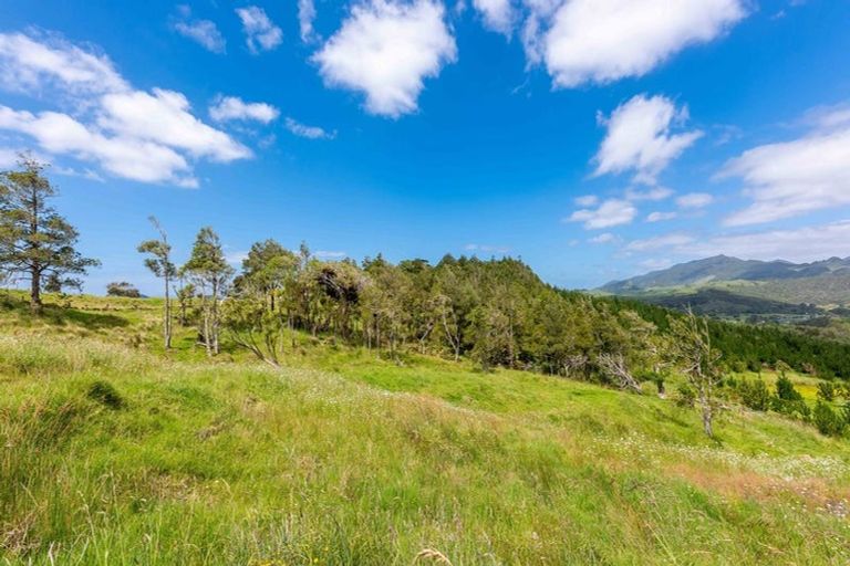 Photo of property in 183 Koutu Loop Road, Whirinaki, 0473