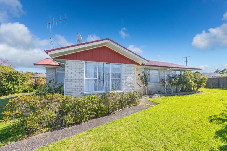 Photo of property in 16 Blundell Place, Huntly, 3700