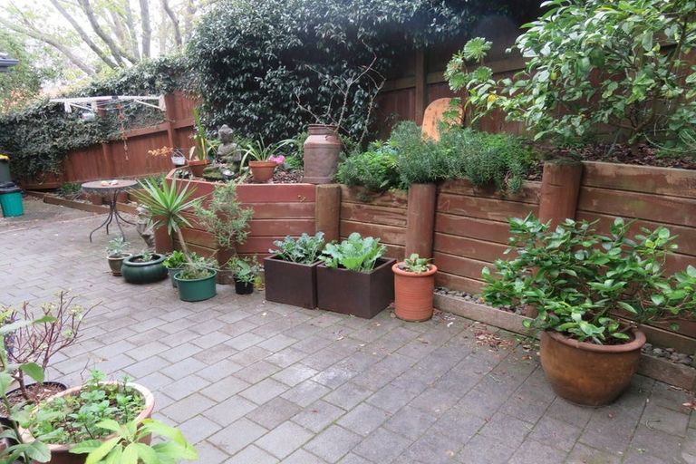 Photo of property in 94a Macfarlane Street, Hamilton East, Hamilton, 3216