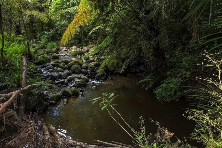 Photo of property in 384 Mangakura Road, Helensville, 0875