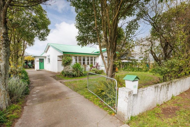 Photo of property in 111 Mulgrave Street, Ashhurst, 4810