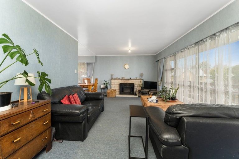 Photo of property in 222 Raikes Avenue, Te Awamutu, 3800