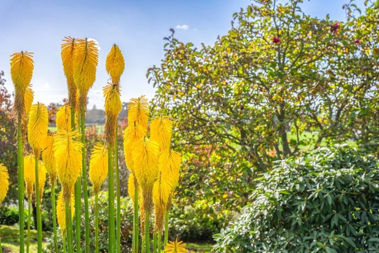 Photo of property in 26 Blackburne Road, Te Horo, Otaki, 5582