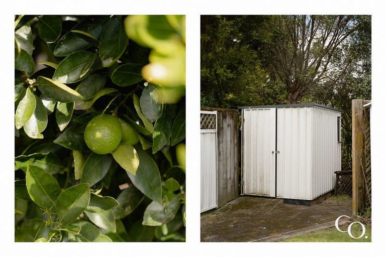 Photo of property in 53 Te Hono Street, Maungatapu, Tauranga, 3112