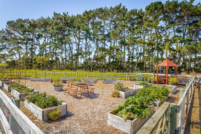 Photo of property in 135c Hutchinson Road, Helensville, 0875