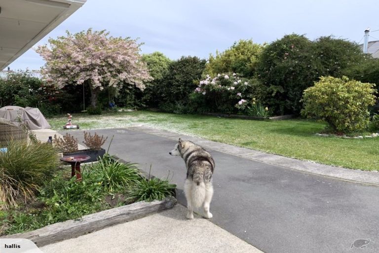 Photo of property in 256 King Street, Rangiora, 7400