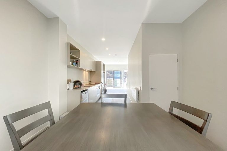 Photo of property in Aniva Terrace, 14 Arney Street, Newtown, Wellington, 6021