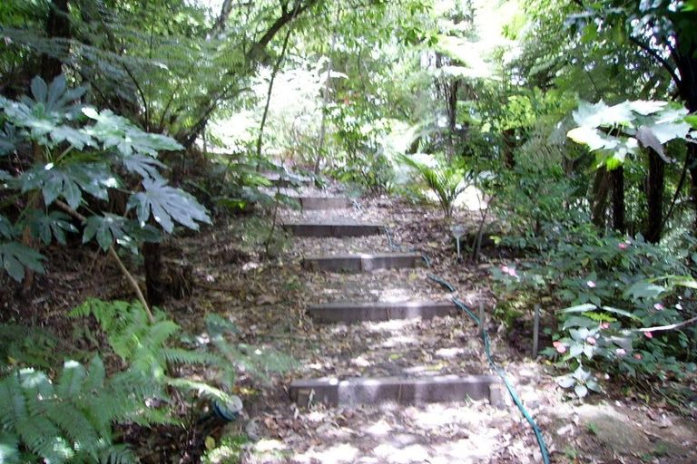 Photo of property in 65 Rimutaka Place, Titirangi, Auckland, 0604