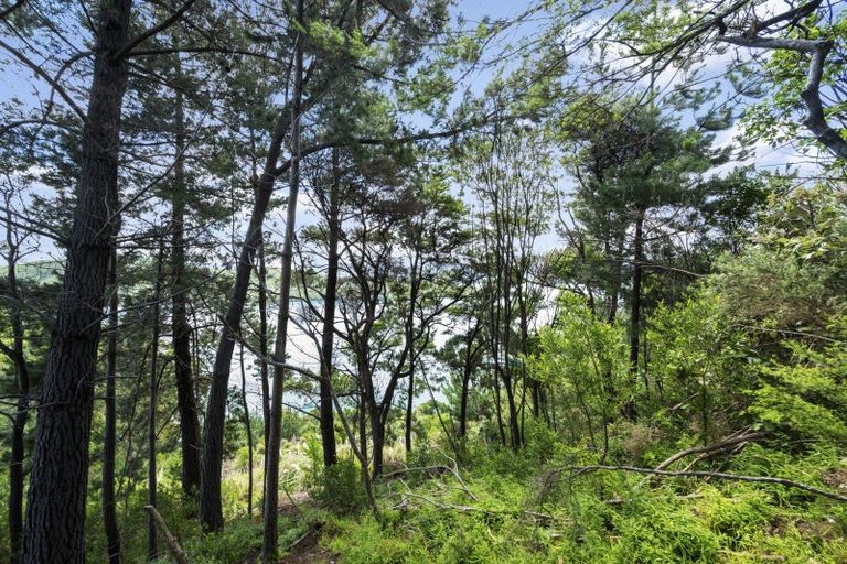 Photo of property in 126 Port Underwood Road, Waikawa, Picton, 7281