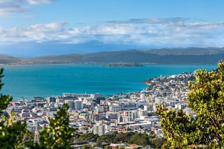 Photo of property in 97 Karepa Street, Brooklyn, Wellington, 6021