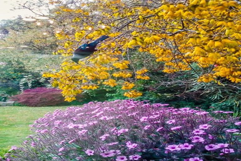 Photo of property in 153 West Street, Greytown, 5712