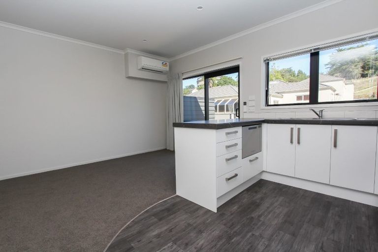 Photo of property in 18u4 Hunter Street, Hamilton Lake, Hamilton, 3204