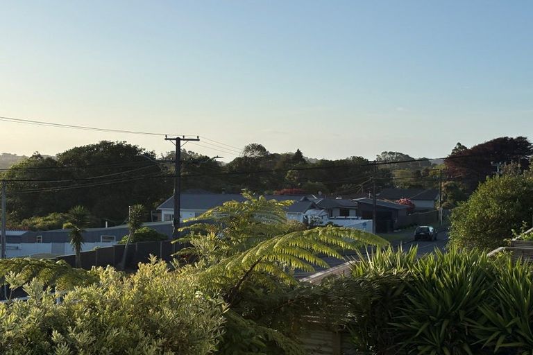 Photo of property in 293 Tukapa Street, Hurdon, New Plymouth, 4310