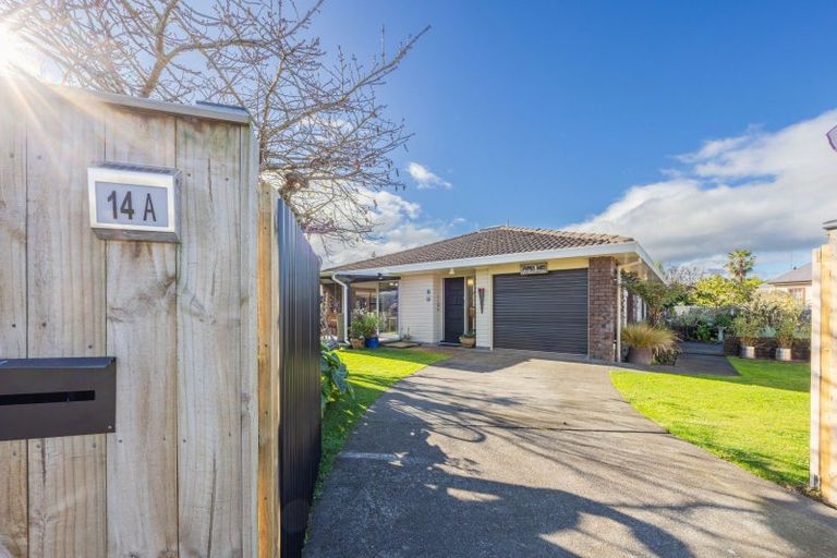 Photo of property in 14a Ruataniwha Street, Waipawa, 4210