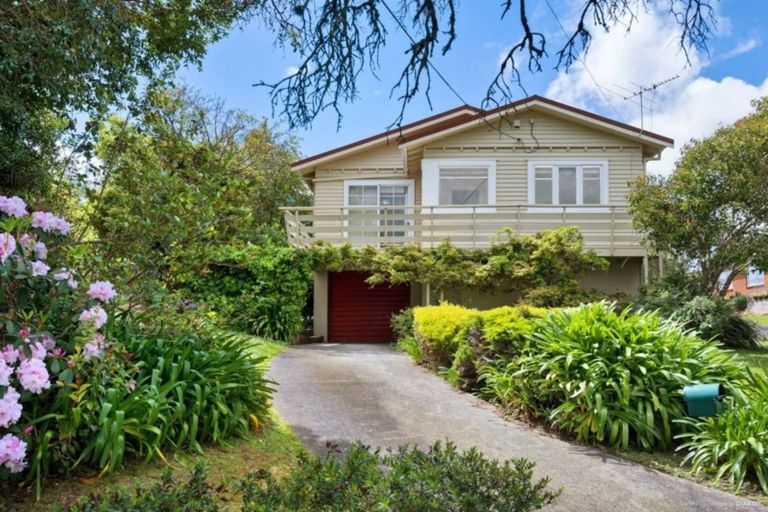 Photo of property in 41 Norcross Avenue, Henderson, Auckland, 0612
