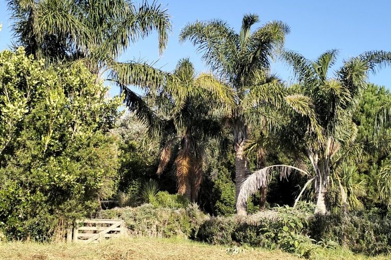 Photo of property in 91 Creamery Road, Pollok, Waiuku, 2683
