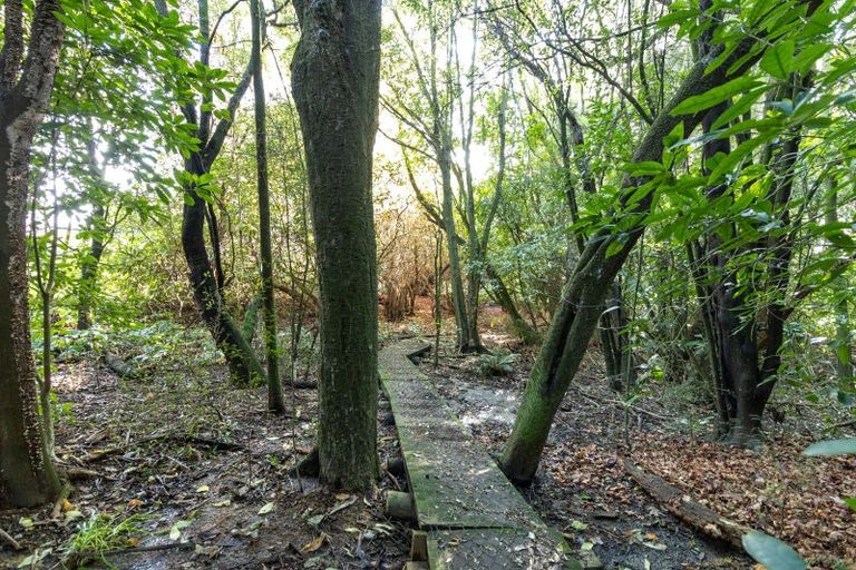 Photo of property in 33 Ribbonwood Road, Geraldine Downs, Geraldine, 7991