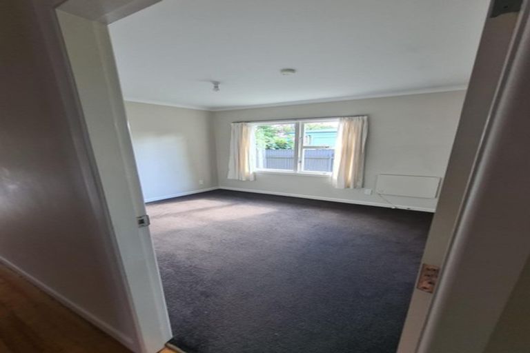 Photo of property in 4 Cotter Place, Hamilton East, Hamilton, 3216