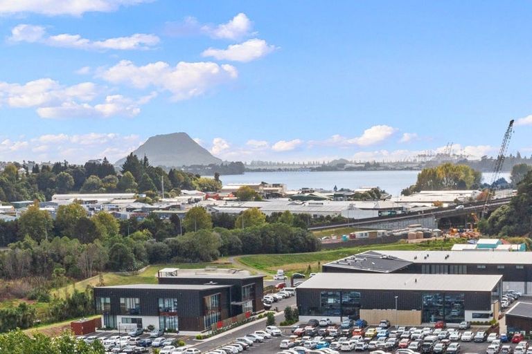 Photo of property in 102b Laurence Street North, Gate Pa, Tauranga, 3112