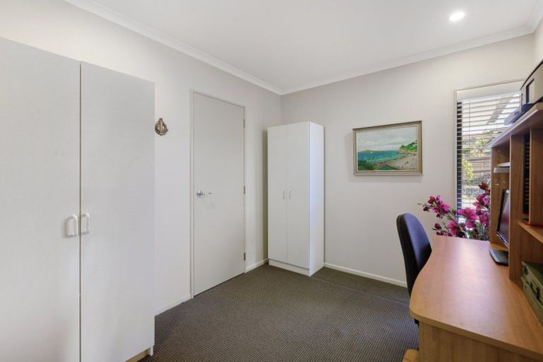 Photo of property in 14 Merlot Drive, Pyes Pa, Tauranga, 3112