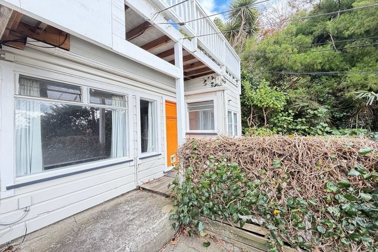 Photo of property in 59 Hankey Street, Mount Cook, Wellington, 6011