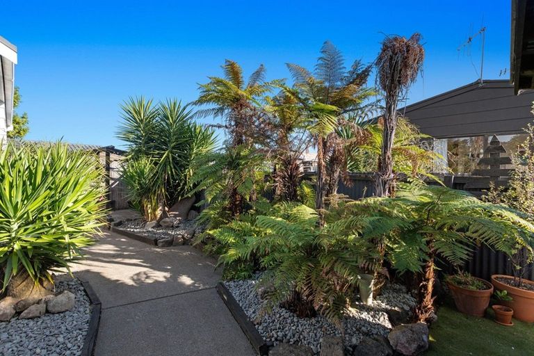 Photo of property in 88b Mcgarvey Road, Whakatane, 3120