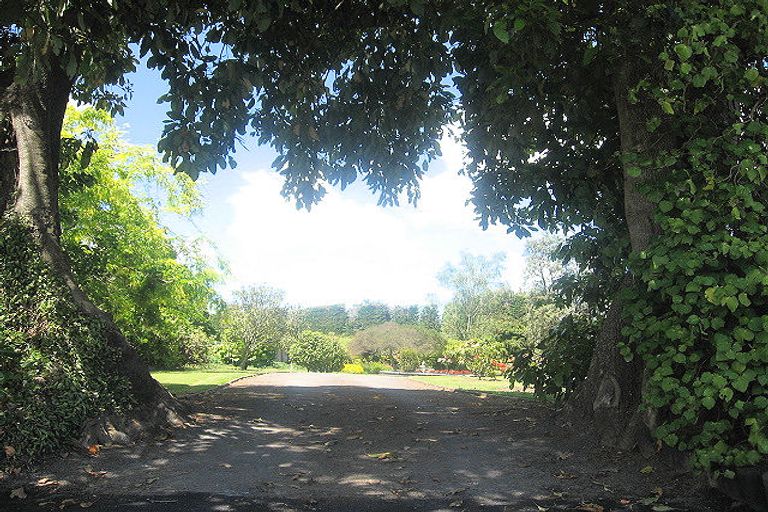 Photo of property in 305 No 2 Road, Te Puke, 3182