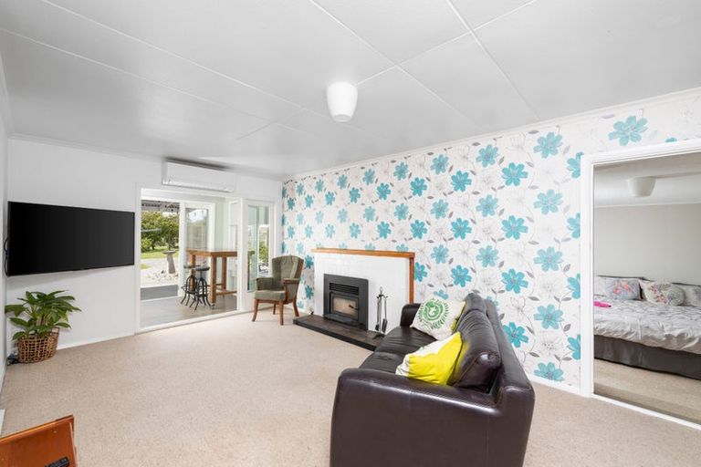 Photo of property in 45a Ferry Road, Martinborough, 5711
