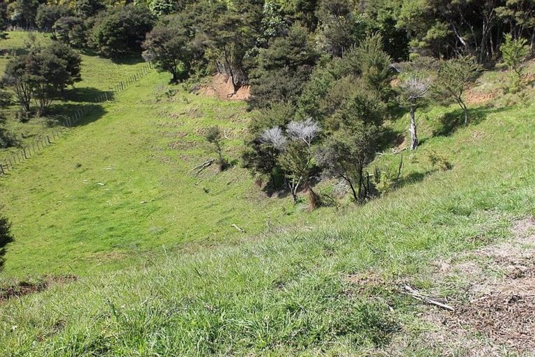 Photo of property in 60 Summer Road, Tinopai, Matakohe, 0593
