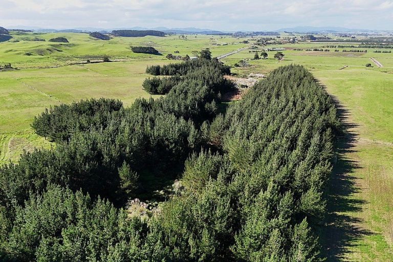 Photo of property in 413a Baylys Coast Road, Dargaville, 0377